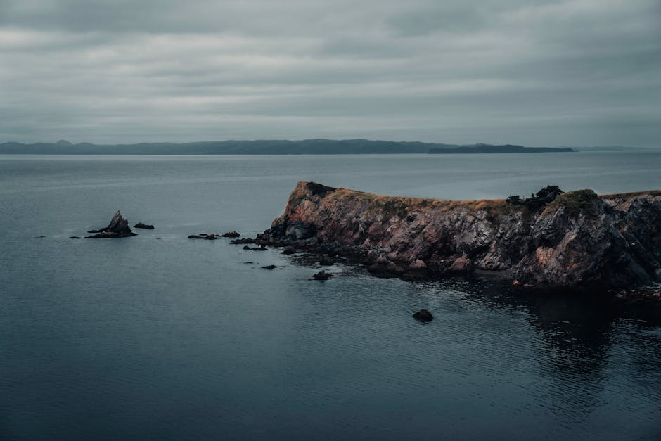 A dramatic view of the rocky coastline in Chance Cove, Newfoundland, under an overcast sky.