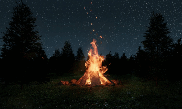 Fire Ban Issued for St. John’s, Mount Pearl, and Paradise Amid High Hazard Rating