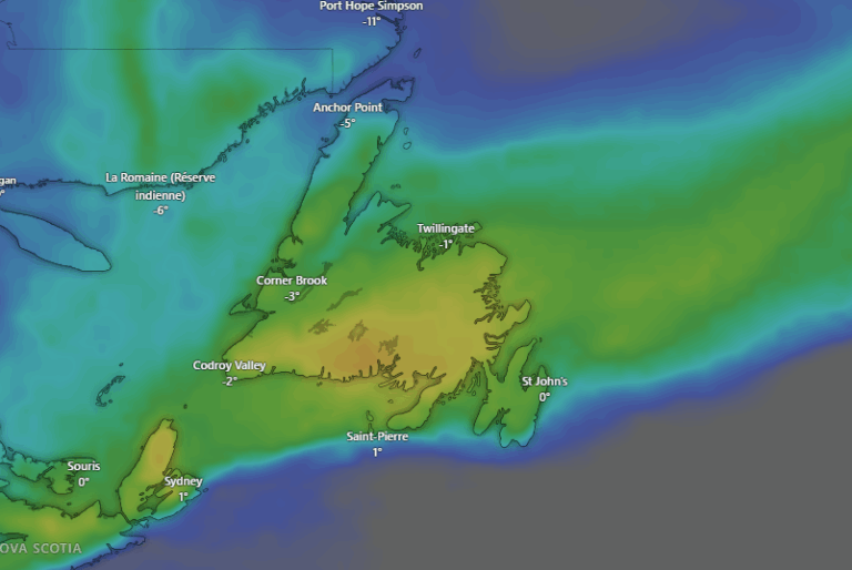 Winter Storms and Heavy Snowfall Expected Across Newfoundland in the Coming Days